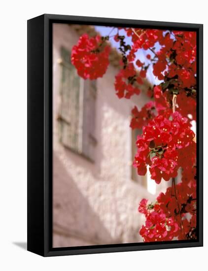 Red Flowers on Main Street, Kardamyli, Messina, Peloponnese, Greece-Walter Bibikow-Framed Premier Image Canvas