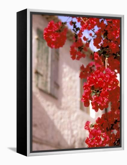 Red Flowers on Main Street, Kardamyli, Messina, Peloponnese, Greece-Walter Bibikow-Framed Premier Image Canvas