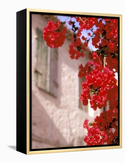 Red Flowers on Main Street, Kardamyli, Messina, Peloponnese, Greece-Walter Bibikow-Framed Premier Image Canvas