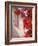 Red Flowers on Main Street, Kardamyli, Messina, Peloponnese, Greece-Walter Bibikow-Framed Photographic Print