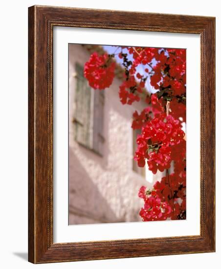 Red Flowers on Main Street, Kardamyli, Messina, Peloponnese, Greece-Walter Bibikow-Framed Photographic Print