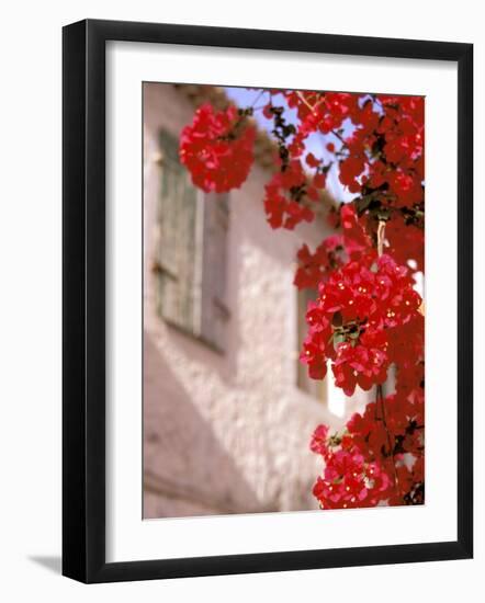 Red Flowers on Main Street, Kardamyli, Messina, Peloponnese, Greece-Walter Bibikow-Framed Photographic Print