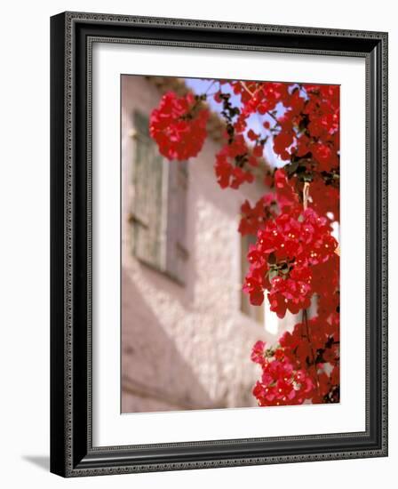 Red Flowers on Main Street, Kardamyli, Messina, Peloponnese, Greece-Walter Bibikow-Framed Photographic Print