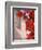 Red Flowers on Main Street, Kardamyli, Messina, Peloponnese, Greece-Walter Bibikow-Framed Photographic Print