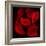 Red Flowers-Unaciertamirada-Framed Photographic Print