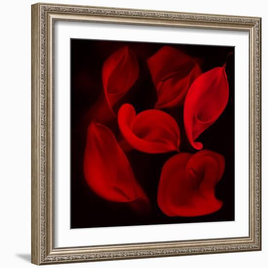 Red Flowers-Unaciertamirada-Framed Photographic Print