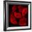 Red Flowers-Unaciertamirada-Framed Photographic Print