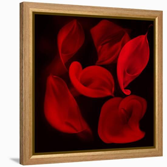 Red Flowers-Unaciertamirada-Framed Premier Image Canvas