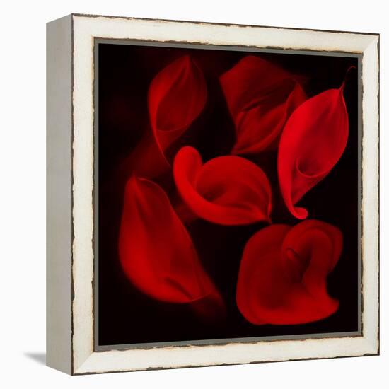 Red Flowers-Unaciertamirada-Framed Premier Image Canvas