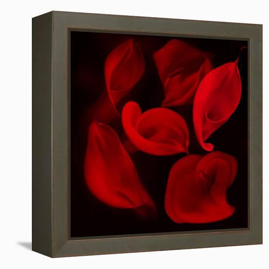 Red Flowers-Unaciertamirada-Framed Premier Image Canvas