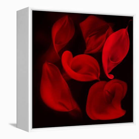 Red Flowers-Unaciertamirada-Framed Premier Image Canvas