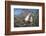 Red-footed booby pair in tree, Genovesa Island, Galapagos-Tui De Roy-Framed Photographic Print