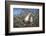 Red-footed booby pair in tree, Genovesa Island, Galapagos-Tui De Roy-Framed Photographic Print