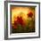 Red for Love-Philippe Sainte-Laudy-Framed Premium Photographic Print