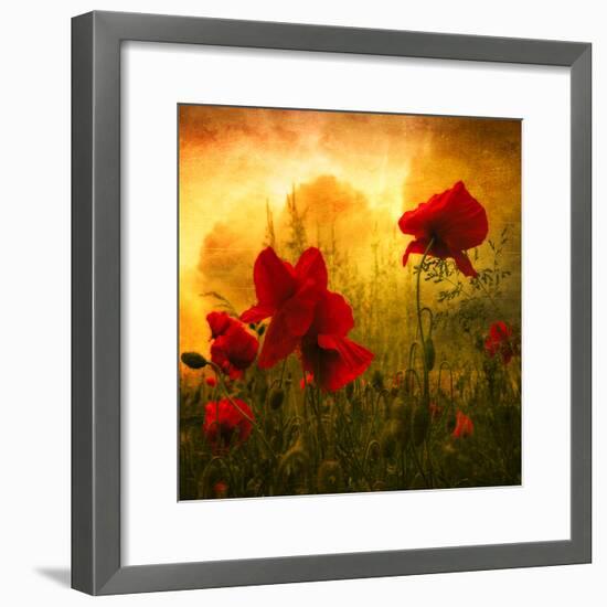 Red for Love-Philippe Sainte-Laudy-Framed Premium Photographic Print