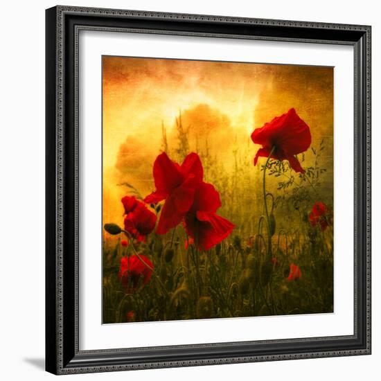 Red for Love-Philippe Sainte-Laudy-Framed Premium Photographic Print