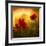 Red for Love-Philippe Sainte-Laudy-Framed Photographic Print
