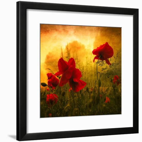 Red for Love-Philippe Sainte-Laudy-Framed Photographic Print