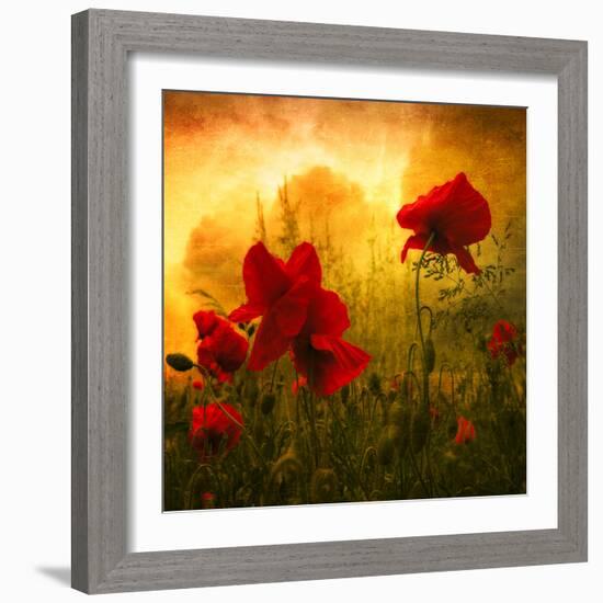 Red for Love-Philippe Sainte-Laudy-Framed Photographic Print