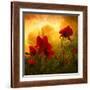 Red for Love-Philippe Sainte-Laudy-Framed Photographic Print
