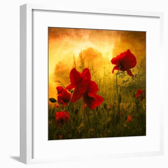 Red for Love-Philippe Sainte-Laudy-Framed Photographic Print