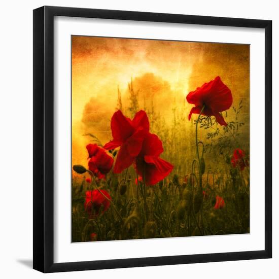 Red for Love-Philippe Sainte-Laudy-Framed Photographic Print