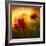 Red for Love-Philippe Sainte-Laudy-Framed Photographic Print