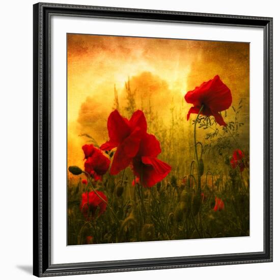 Red for Love-Philippe Sainte-Laudy-Framed Photographic Print