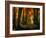 Red Forest-Philippe Manguin-Framed Photographic Print