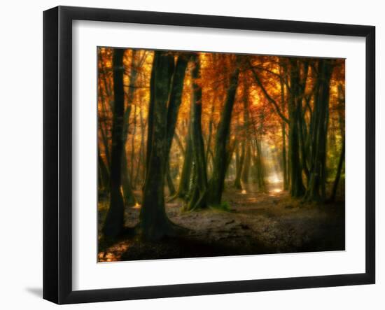 Red Forest-Philippe Manguin-Framed Photographic Print