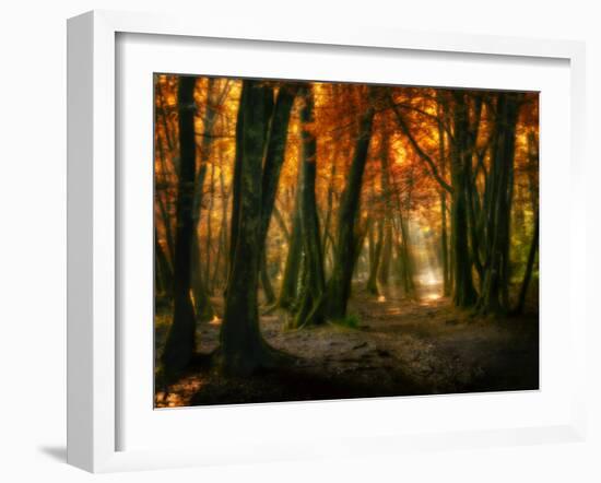 Red Forest-Philippe Manguin-Framed Photographic Print