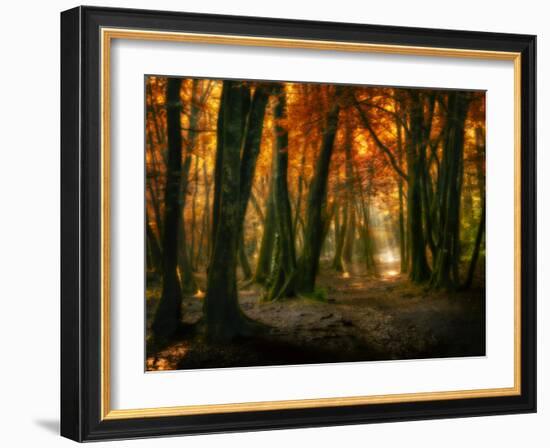 Red Forest-Philippe Manguin-Framed Photographic Print