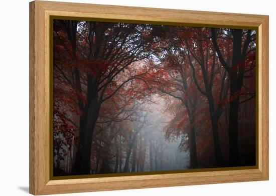 Red Forest-Philippe Manguin-Framed Premier Image Canvas