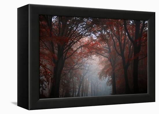 Red Forest-Philippe Manguin-Framed Premier Image Canvas