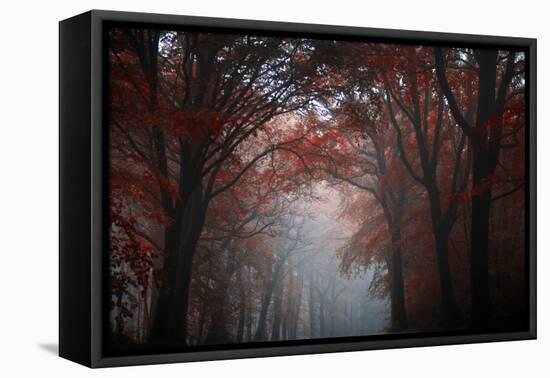 Red Forest-Philippe Manguin-Framed Premier Image Canvas