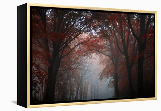 Red Forest-Philippe Manguin-Framed Premier Image Canvas