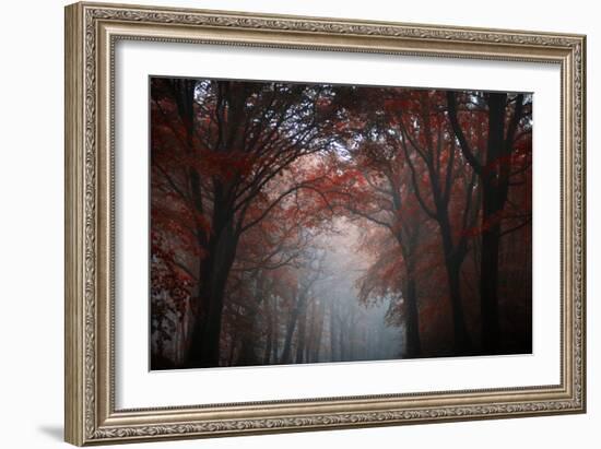 Red Forest-Philippe Manguin-Framed Photographic Print