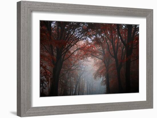 Red Forest-Philippe Manguin-Framed Photographic Print