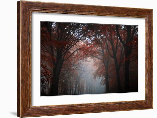 Red Forest-Philippe Manguin-Framed Photographic Print