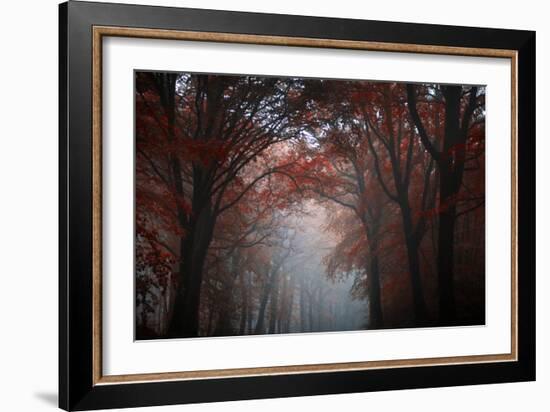 Red Forest-Philippe Manguin-Framed Photographic Print