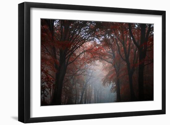 Red Forest-Philippe Manguin-Framed Photographic Print