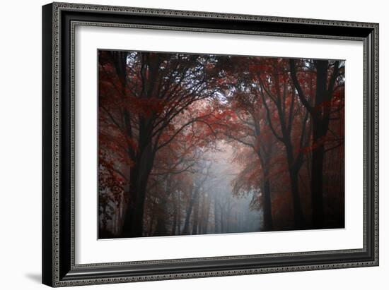 Red Forest-Philippe Manguin-Framed Photographic Print