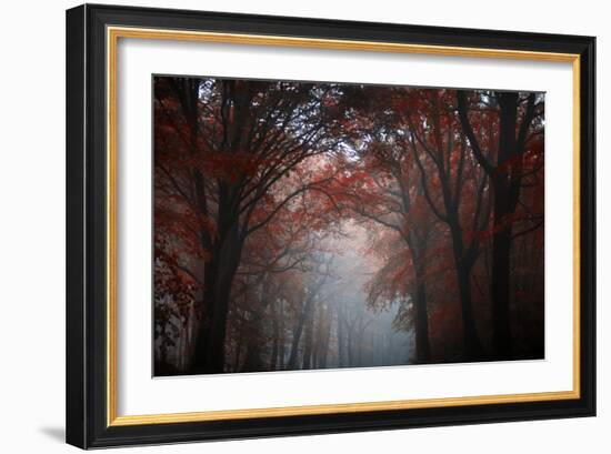 Red Forest-Philippe Manguin-Framed Photographic Print