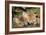 Red Fox 7 Week Old Cubs Sleeping-null-Framed Photographic Print