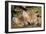 Red Fox 7 Week Old Cubs Sleeping-null-Framed Photographic Print