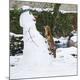 Premium Photographic Print