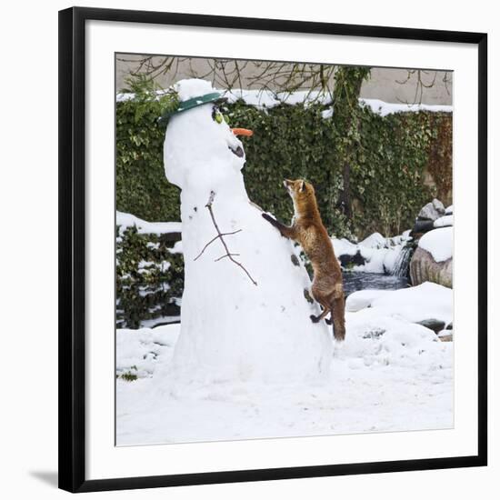 Photographic Print, , large
