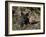 Red Fox Kits, One Black Phase, in Captivity, Animals of Montana, Bozeman, Montana, USA-James Hager-Framed Photographic Print