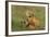 Red Fox Kits-Ken Archer-Framed Photographic Print