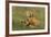 Red Fox Kits-Ken Archer-Framed Photographic Print